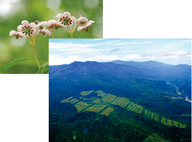 贵妇|别再跟风买LA MER了!真正的贵妇都爱用它们!