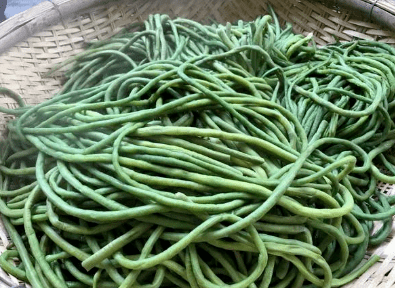 怎么晒豆角干方便 41dc8549d8b04435b63760237b5e6512.png