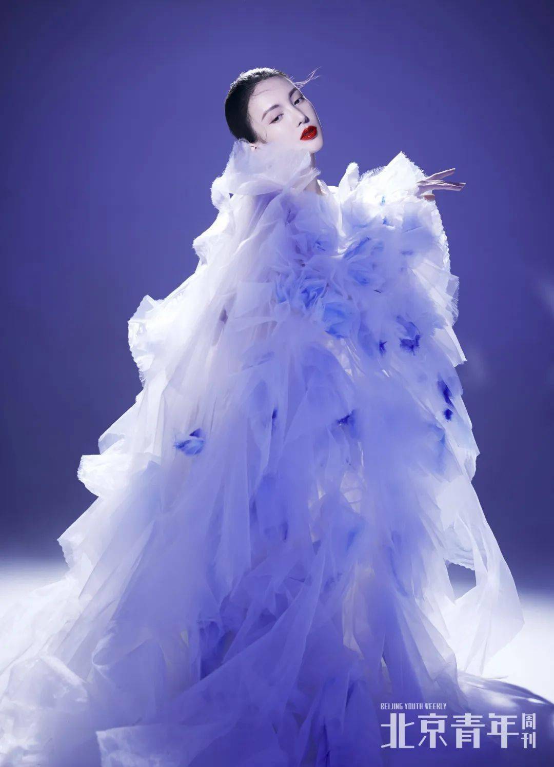 姐姐|金晨 ：容易快乐的姐姐