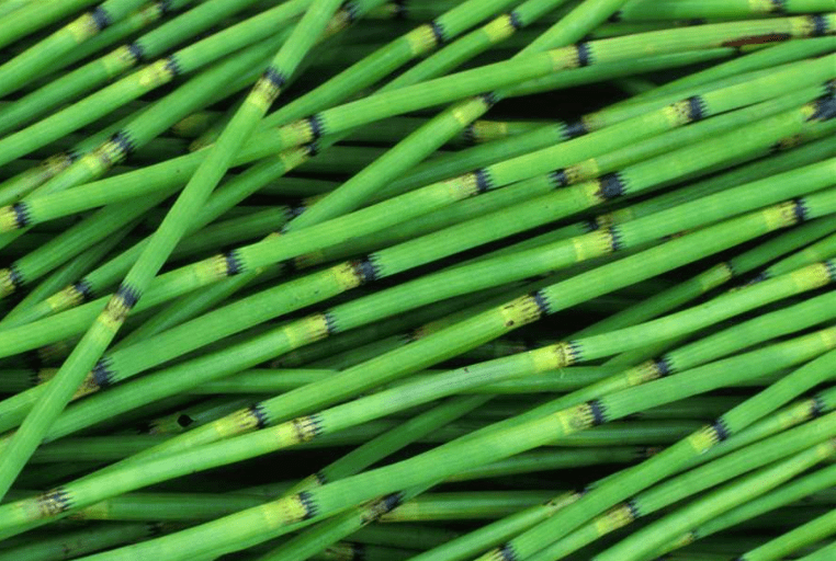 眼罩|明亮双眸!新一代冰感眼罩,冰热双温SPA,赶走黑眼圈、红血丝!