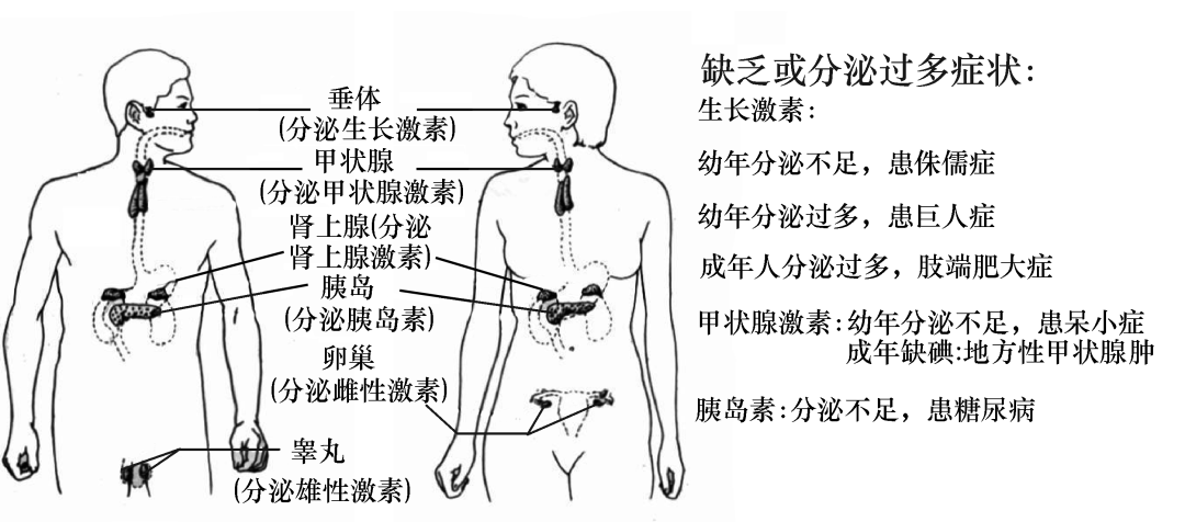 考前必备的初中生物结构图,你都学会了吗?