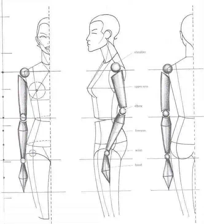 干货100张的动态刻画素材最基础的时装画设计人体模特的细节刻画