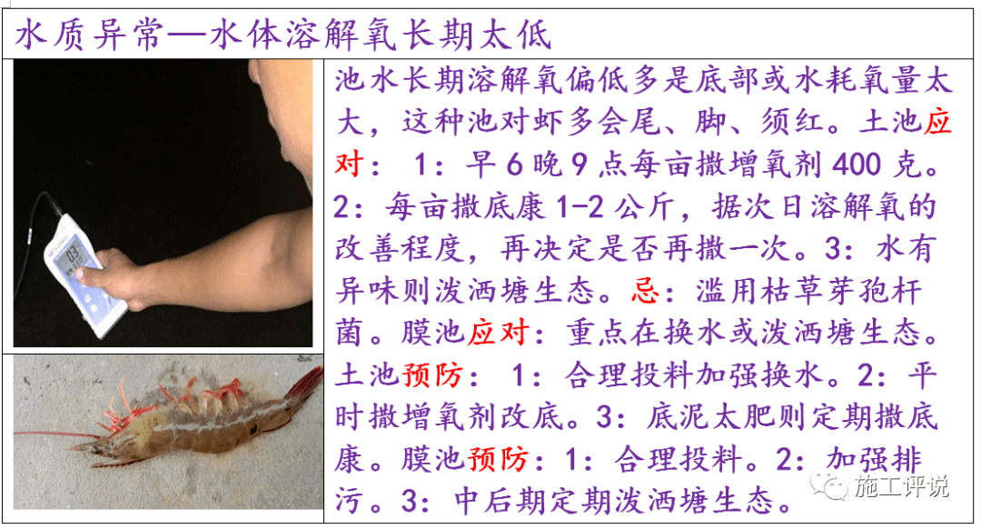 老绿水的措施参考见图7:土池按图7方法用底康处理发粘水的结果见视频3