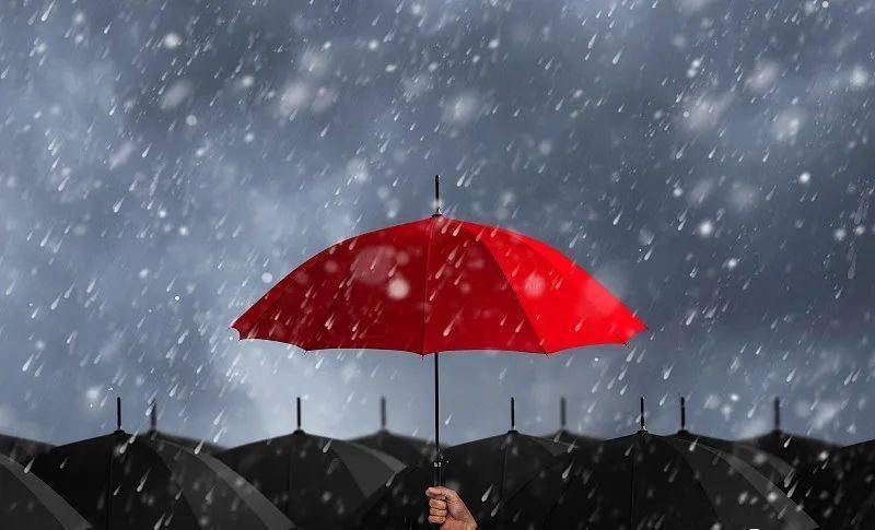 风雨人生谁是为你撑伞的人