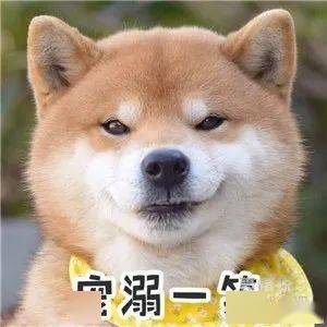 钟丽缇|《浪姐》全员身材翻车，张雨绮、钟丽缇难道都是饿瘦的吗？太水了！