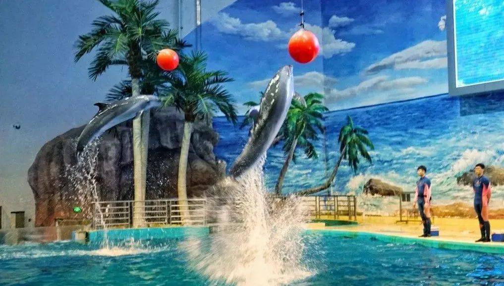 暑期特价:138地罗源湾海洋世界一日游