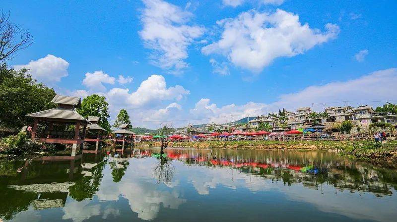 云南23个村拟入选全国乡村旅游重点村,弥勒这个村上榜