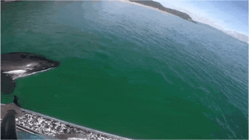 502_283gif 动态图 动图