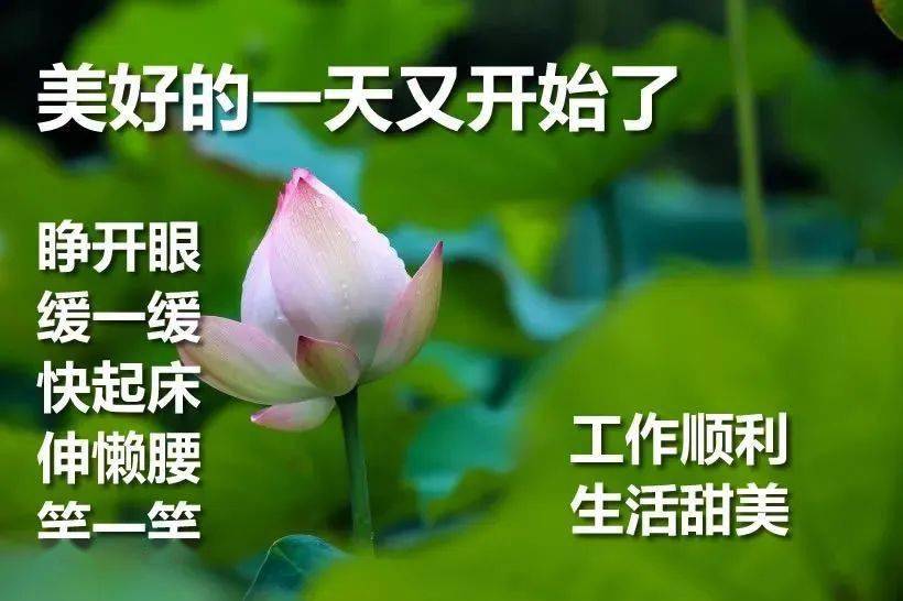 2020微信早上好温暖问候语表情包图片精选,非常精美的早晨好暖心祝福