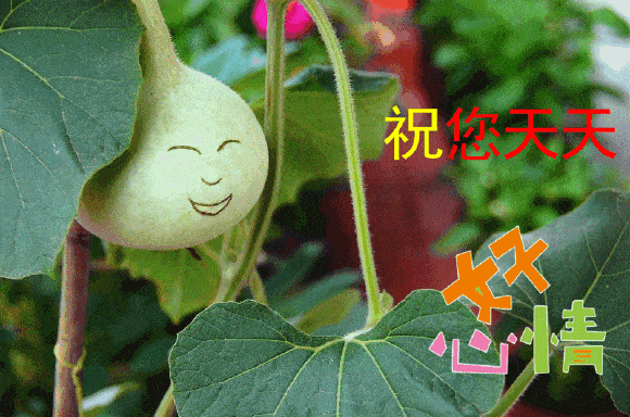 中老年问候表情包_问候表情包_早上问候表情包