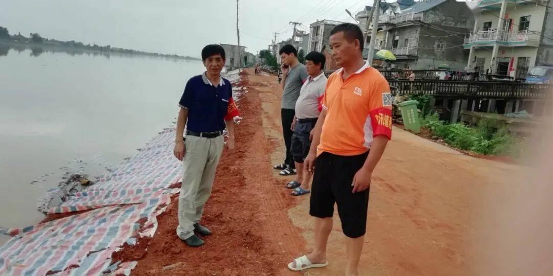 纷纷奔赴 油墩街镇桥头村,凰岗镇向红联圩 ,昌洲乡北兴村和古县渡镇