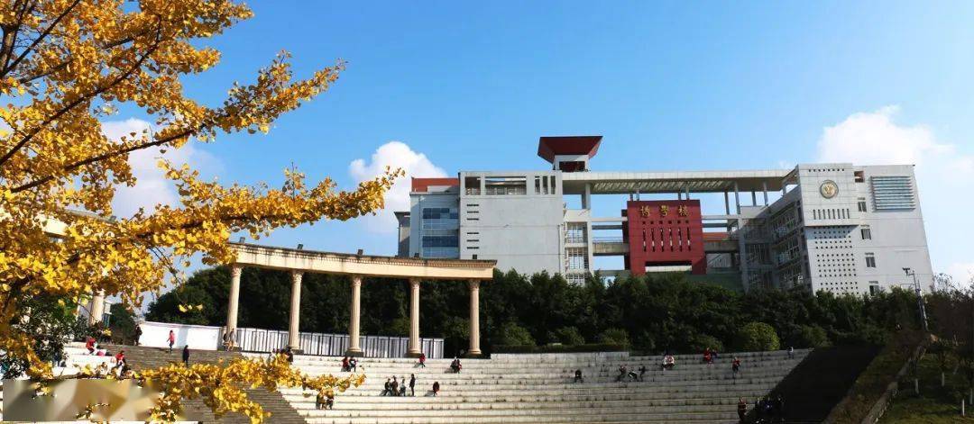 2020年招办主任来帮忙丨西南政法大学本科招生办公室执行主任吕亮访谈