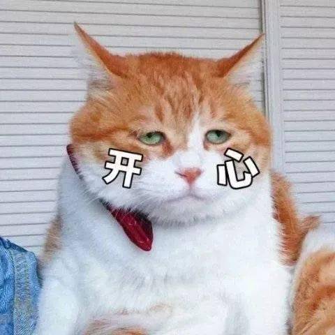 8d83a06e36fd47478b009dcfe16dc7e0.jpeg