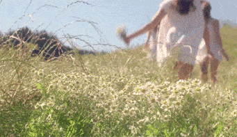 341_197gif 动态图 动图