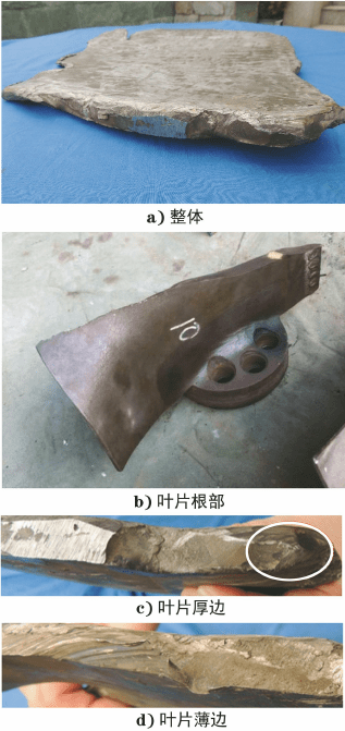 断裂叶片断口的宏观形貌