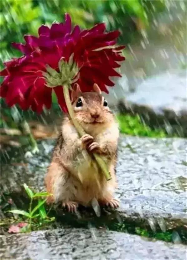世上最能遮阳避雨的是(答案感动千万人)