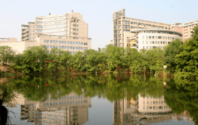 重庆工商大学全排名_重庆工商大学2020年本科新生数据大揭秘,男生2410人、