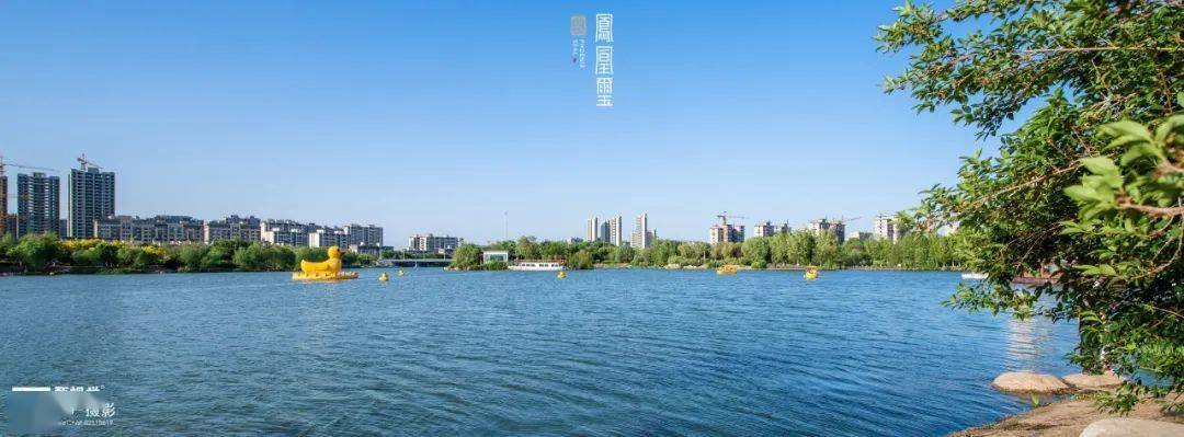 【青龙湖公园】唐山凤凰新城里的静谧氧吧
