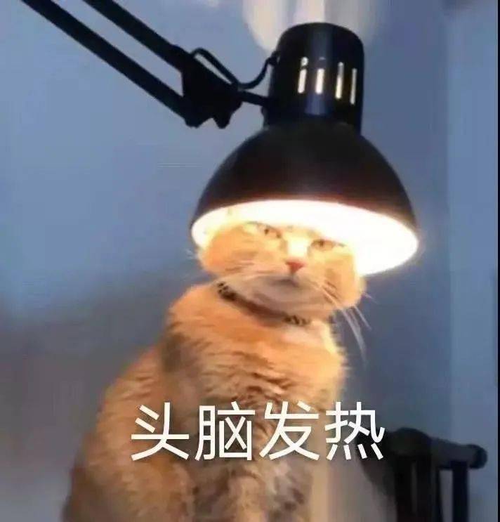 大陆世嘉 :好奇害死猫 @努力就有收获_yeah :猫 : 我太难了 @twt:戴