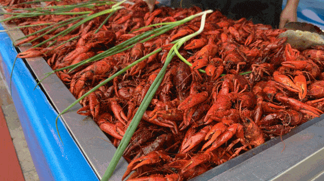 活动|库伦人我们自己的“音乐美食文化节” 来啦！