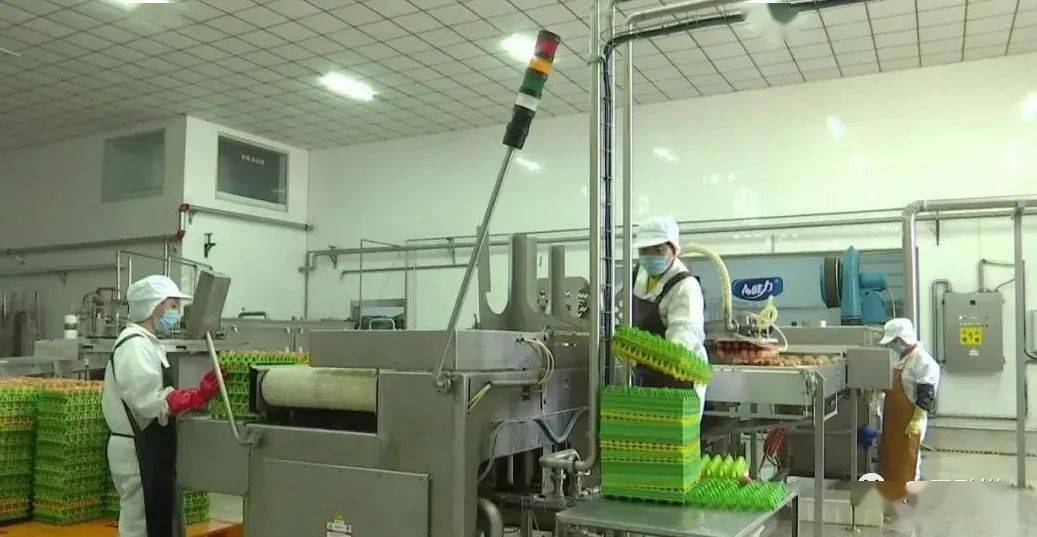 极氪新能源是哪家厂制造的 1aa83f2d04cf48639a22be10235fb8a8.jpeg