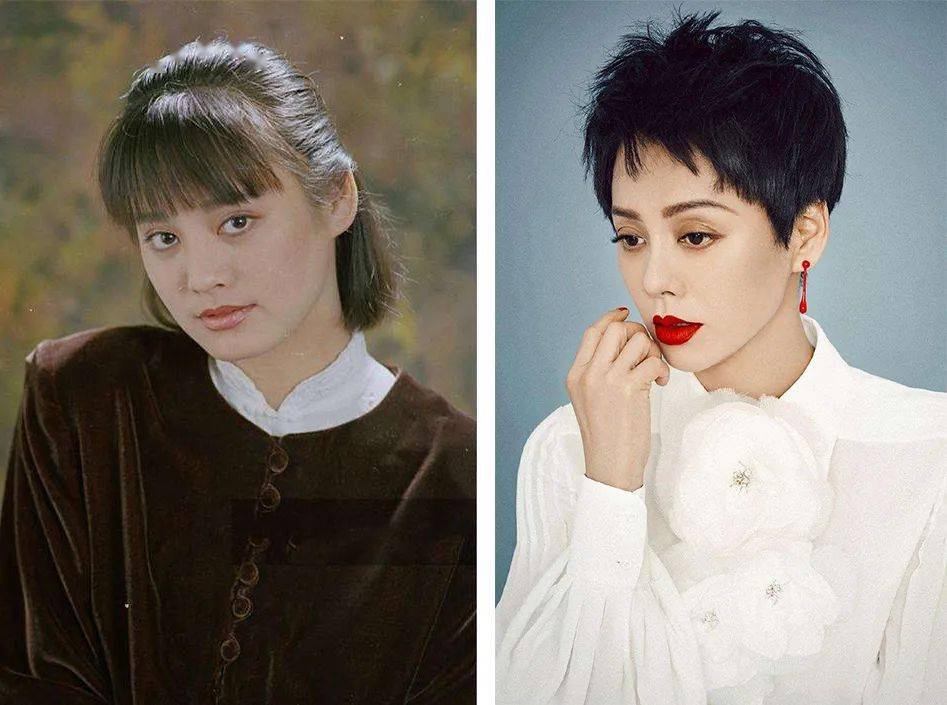 子宫|秦岚“放狠话”，我的子宫使不使用关你什么事？