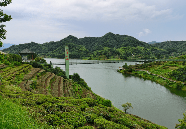 六安西茶谷雨后风光:远山如黛水似镜,茶园葱翠雨飘香