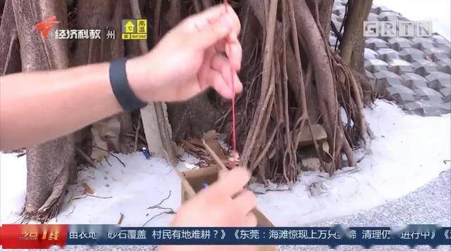 3岁女儿大哭：从左眼直戳颅脑！这款网红玩具，赶紧远离