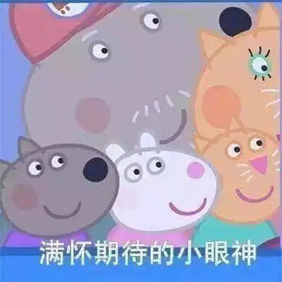 游客|坑娃！小孩被熊家长挂峭壁拍照，官方回应来了