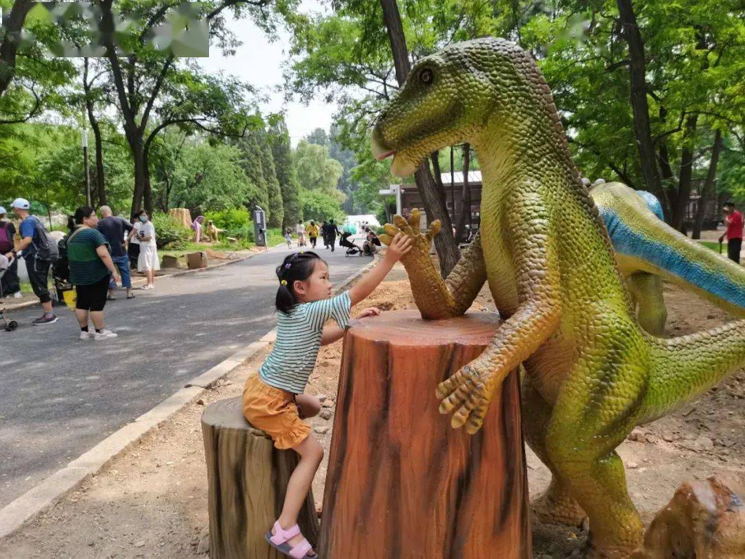 鞍山动物园恐龙广场建完啦!