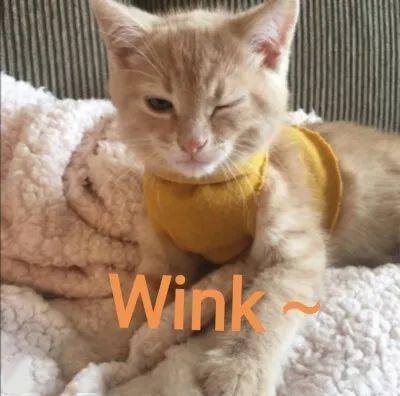 cr|夏天最丑的3款短发,爱美女生千万别留!