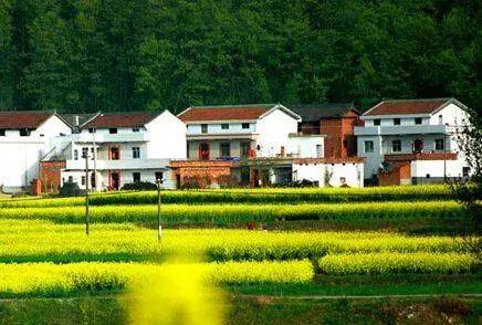 骗子|考生注意！骗子改了剧本继续着他们的表演......