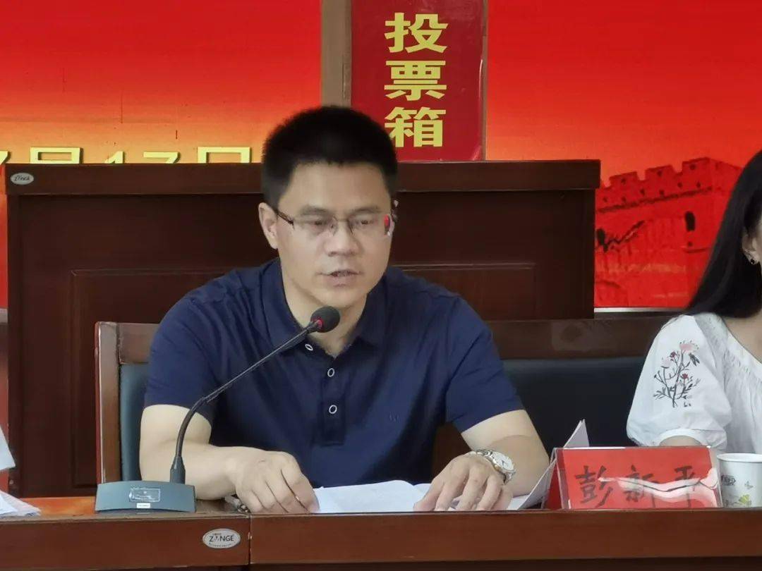 基层组织集中换届民盟桃源支部圆满完成换届选举
