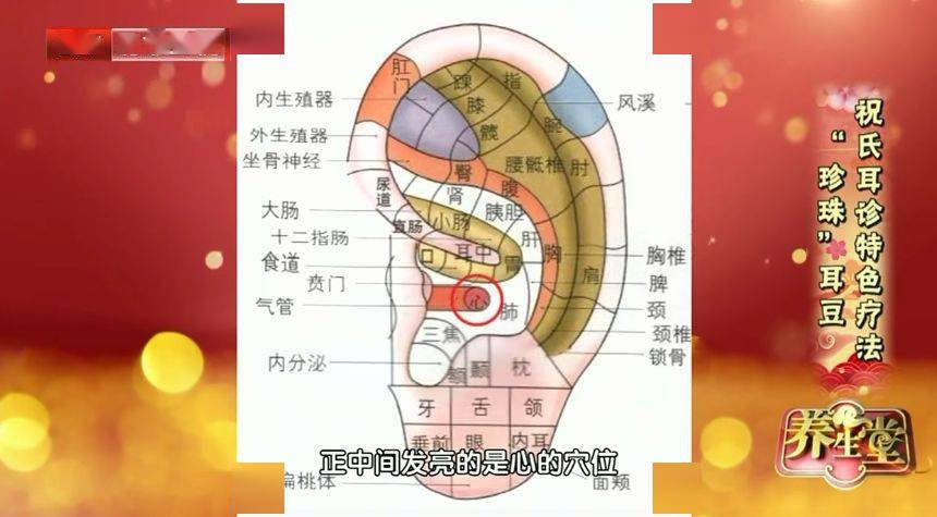 【注意】耳豆降压是辅助治疗手段,还是需要遵医嘱吃降压药控制血压.