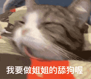 每日壹乐