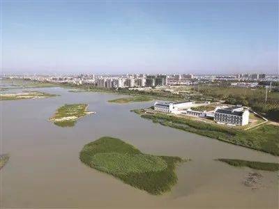 勃勃生机!镇赉环城国家湿地公园努力打造