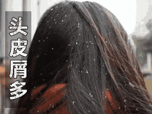 女性|女性的真正魅力是什么？