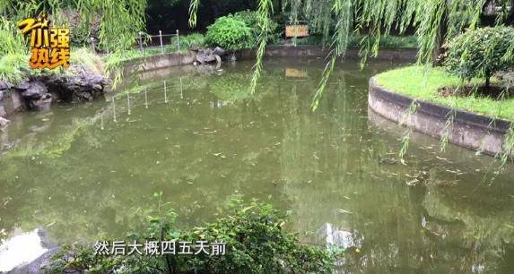 女子睡觉时离奇失踪！监控全无踪迹，更蹊跷的