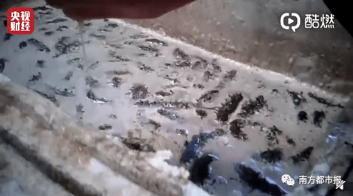 海参|汉堡王/宝骏/万科……刚刚，3·15晚会曝光9大问题，企业火速道歉