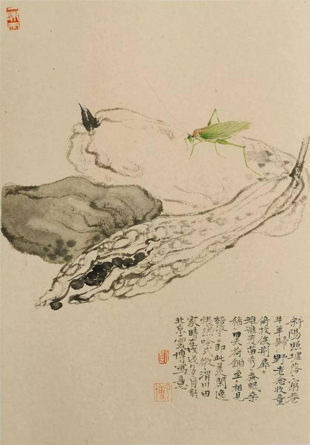 他的花鸟画用水墨写清新,以素净为高贵_刘云博