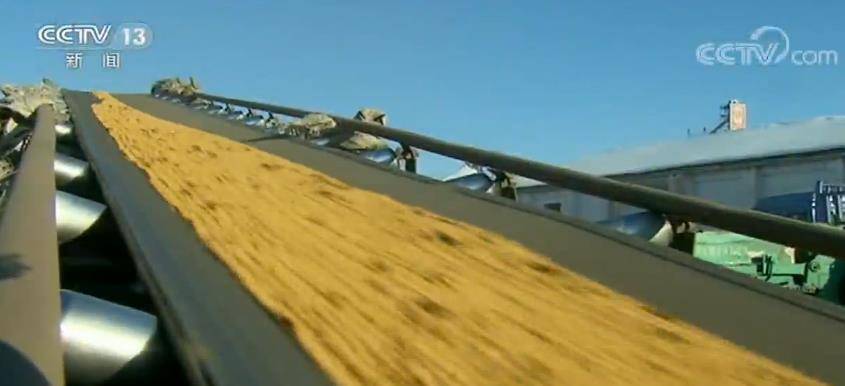 菜篮子|“菜篮子”产品稳产保供扎实推进 吃粮吃菜吃肉总体有保障