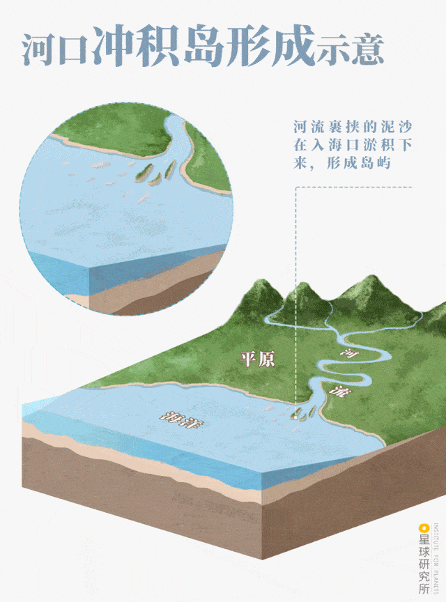 河口冲积岛 形成示意图  制图@郑伯容&云舞空城/星球研究所