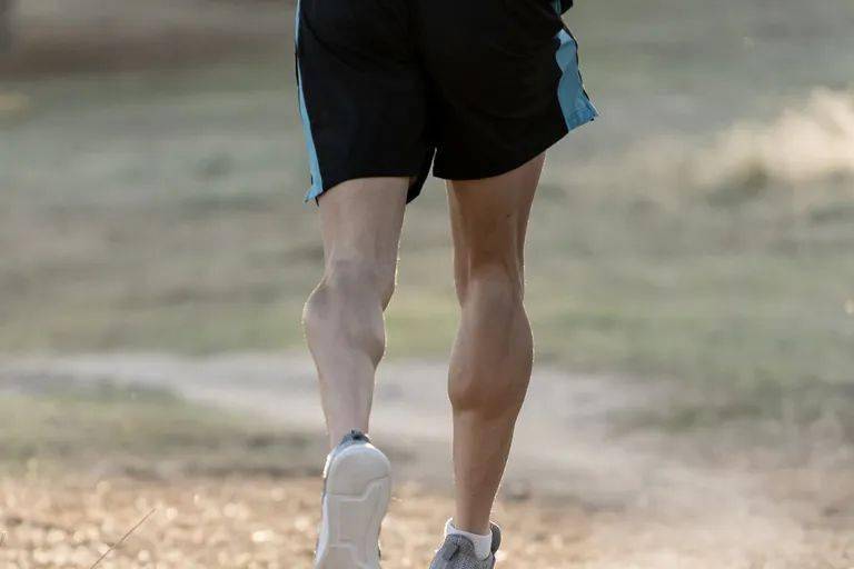 肌肉|全网打卡女团腿,没搞清楚这点也敢随便跟着练?