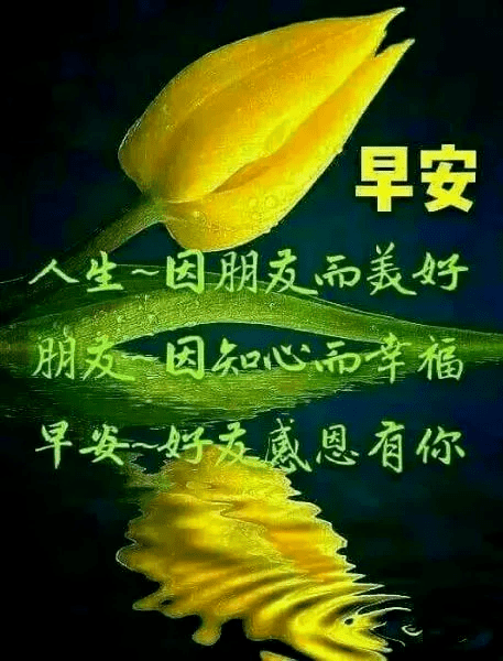 早上好图片大全表情包,早上好问候语文字带阳光图片