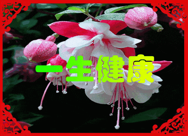 早上好《送你一首吉祥的歌》祝你幸福!吉祥!