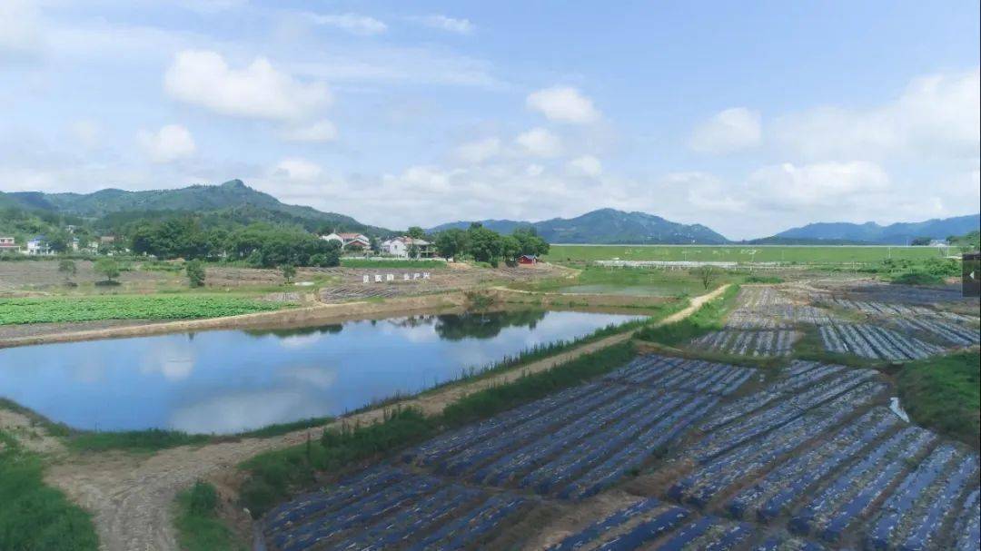 全州石塘广竹村人口_广西桂林全州石塘高中(3)