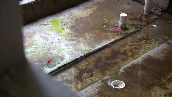装修|臭气熏天！浙江一业主新房空置5年，如今开门一看彻底傻眼