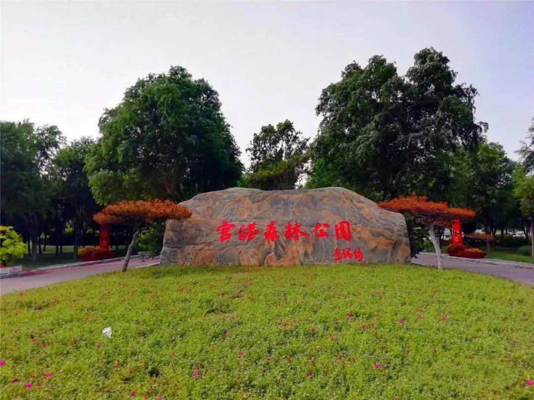 清凉,避暑夏日游,天津森林公园大盘点来啦!