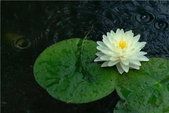 徐某|男子偷快递→“甩锅”给梅雨？！羡慕浙江要出梅了→上海啥时候？