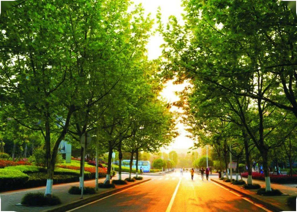 2020年招办主任来帮忙丨重庆医药高等专科学校招生就业处处长刘家英